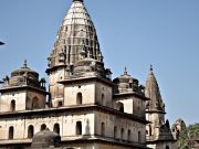 Enchanting India: Heritage Sites and Wildlife Safaris