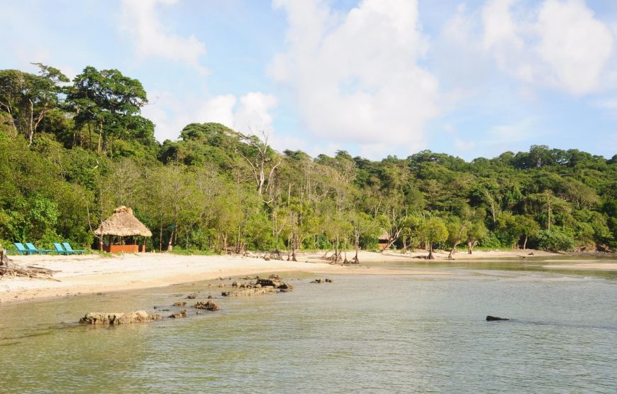 Andaman Serenity: Port Blair Discovery