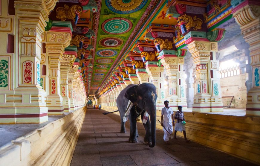 Temple of South India Round Trip Private Tour from Chennai