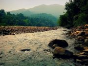 Jungle Escape: Similipal Tiger Reserve Wildlife Tour