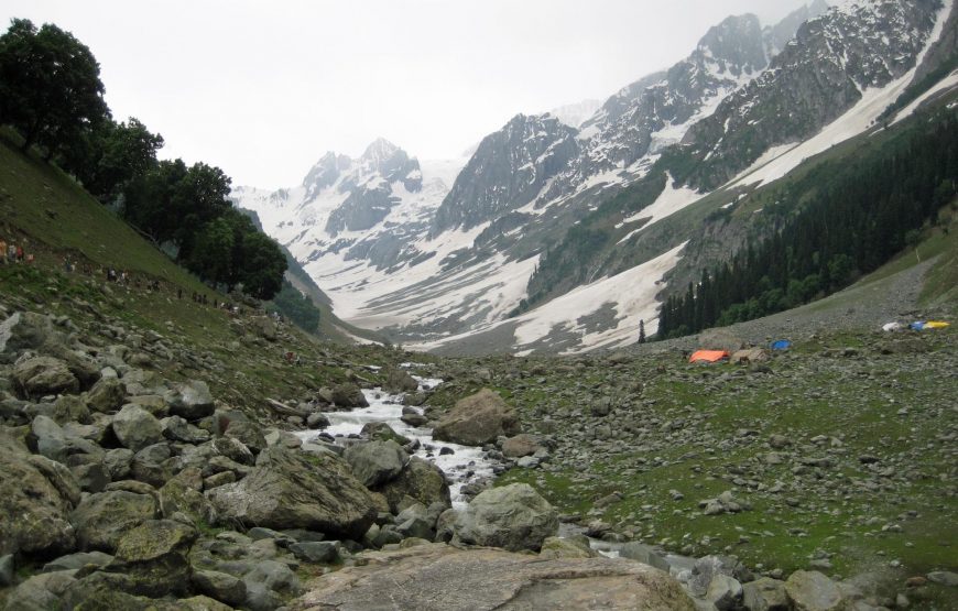 From Srinagar to Sonamarg: Alpine Beauty and Scenic Passes