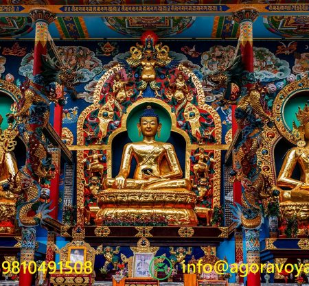 Enlightened Journey: Namdroling Monastery Day Trip from Bangalore