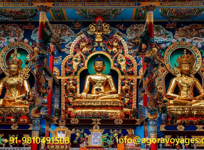 Enlightened Journey: Namdroling Monastery Day Trip from Bangalore