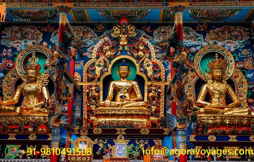 Enlightened Journey: Namdroling Monastery Day Trip from Bangalore
