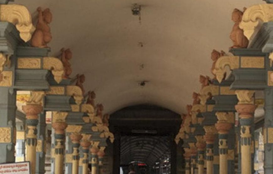 Divine Temples Tour: Sri Venkateswara Temples & Srikalahasti