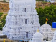 Divine Temples Tour: Sri Venkateswara Temples & Srikalahasti